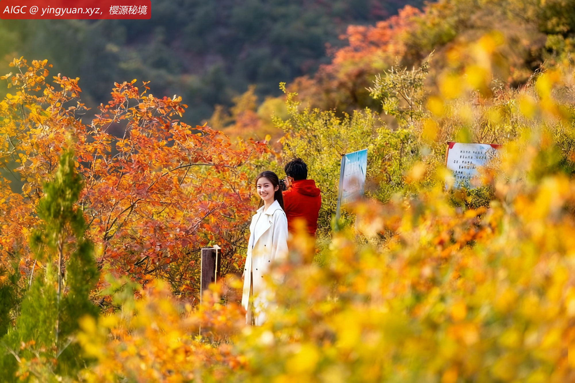 山西省运城市马泉沟，山林间五彩斑斓