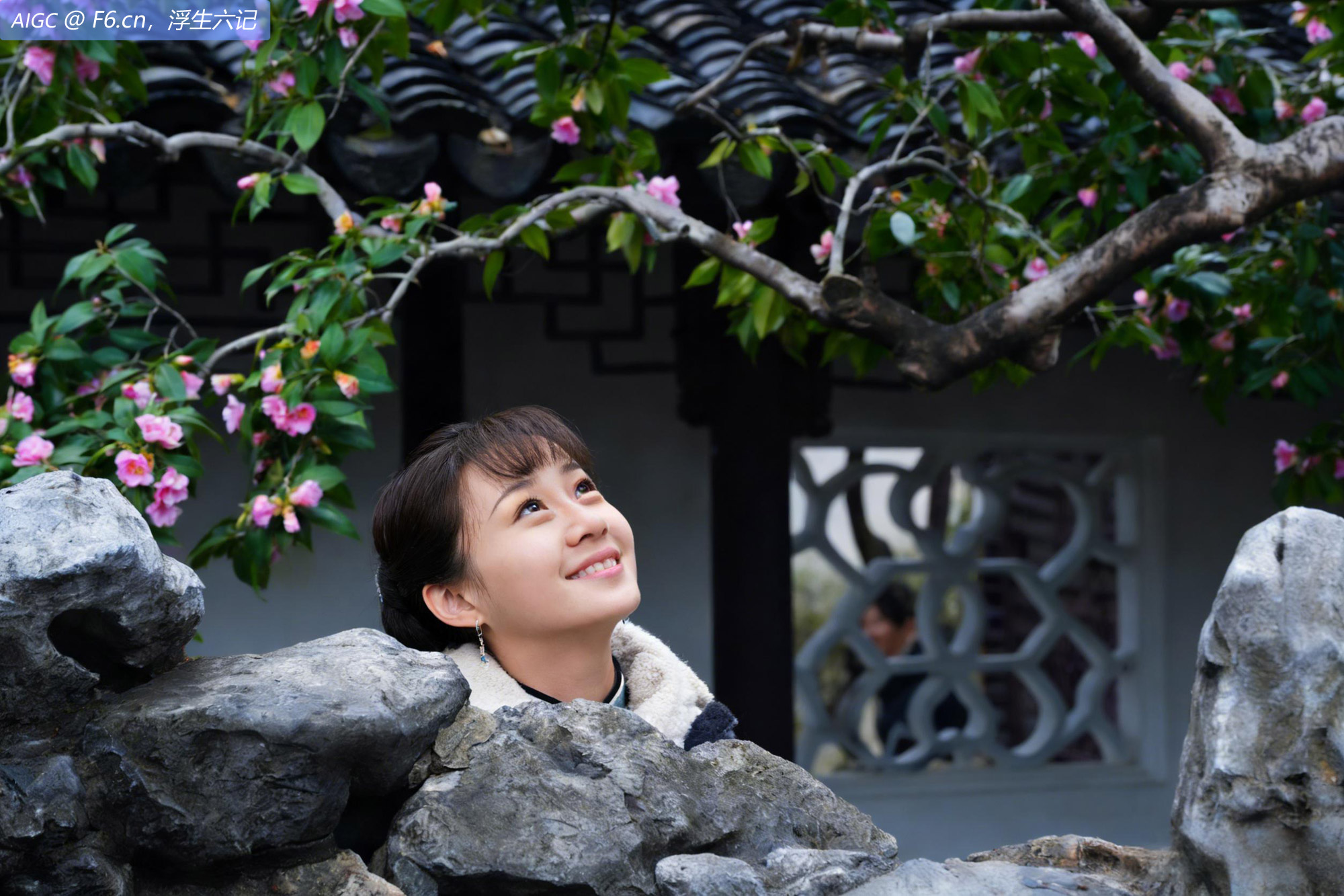 沧浪一隅，冬雨初霁。红山茶胭脂色花瓣经雨浸润