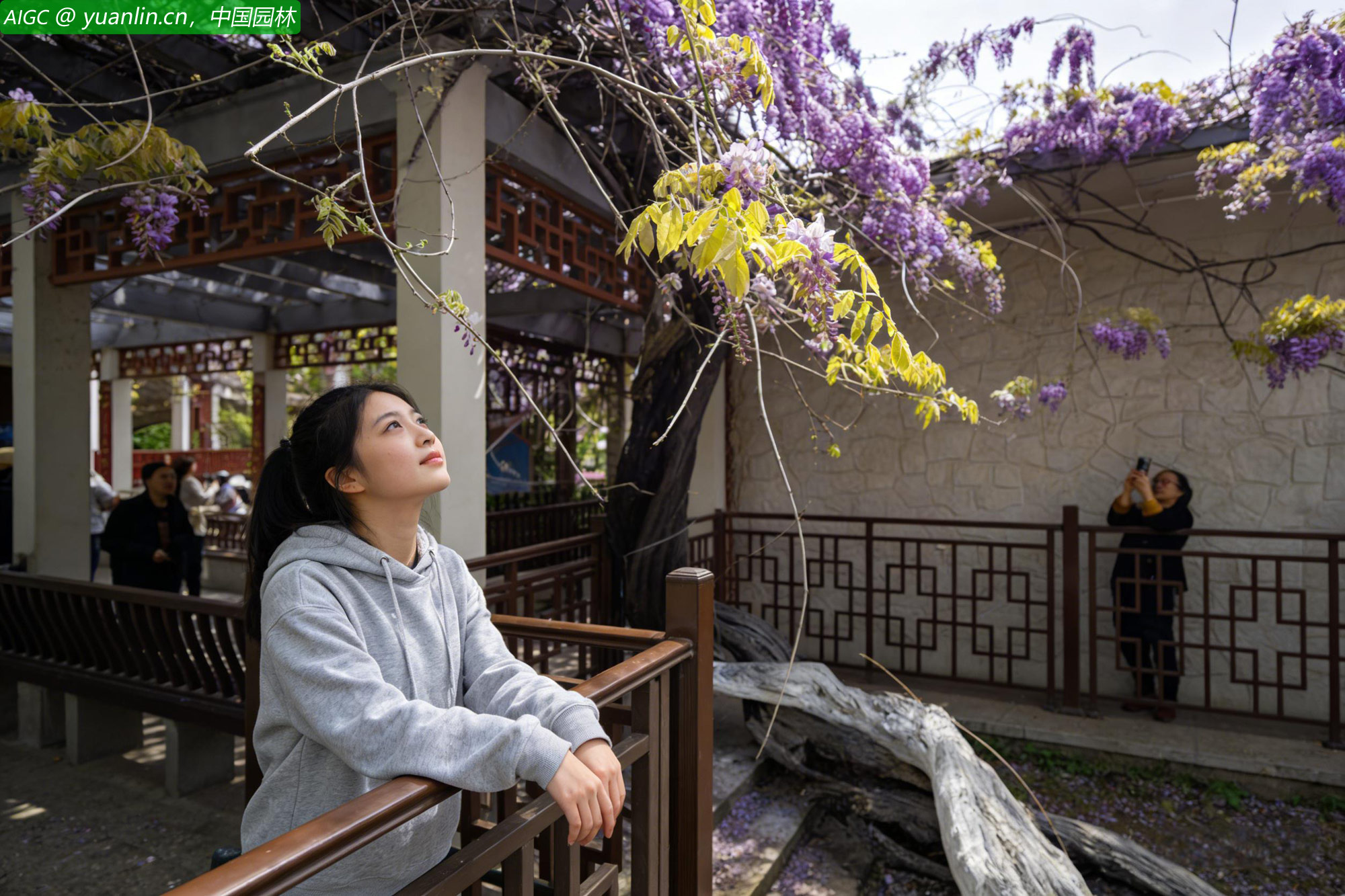 yuanlin20260409.jpg yuanlin20260409.jpg